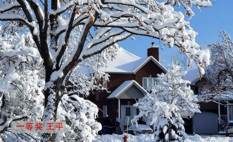 You are currently viewing 春夏秋冬摄影比赛